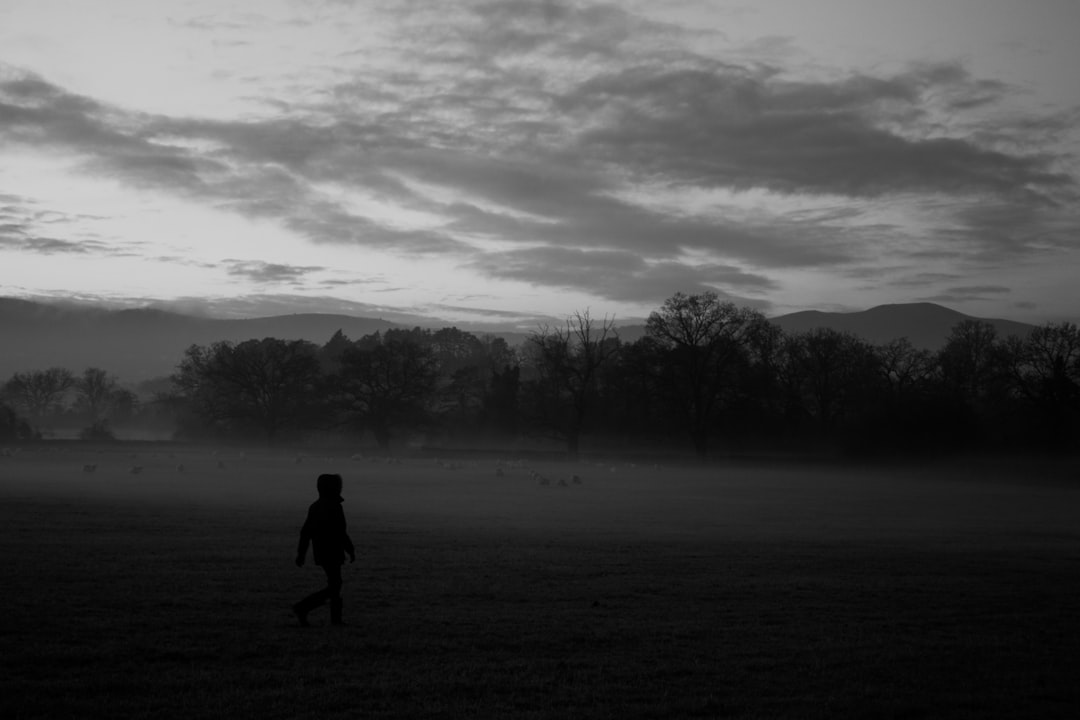 Hanley, Stoke-on-Trent: grayscale photo of person walking in the middle of forest